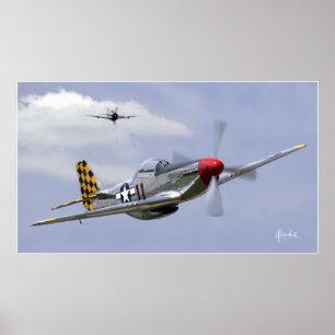 Mustang and Thunderbolt Poster