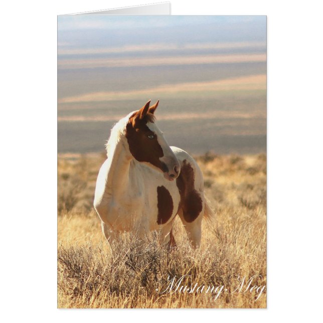 Mustang aux yeux bleus sauvage de Card~ petit (Devant)