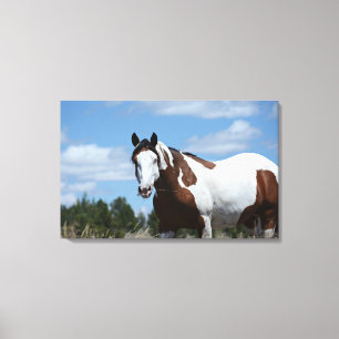 Mustang Custom Canvas Print (30.18"x19.12")1.5",