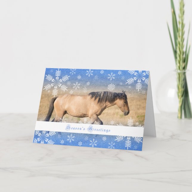 Mustang espagnol - carte des vacances 5x7 (Devant)