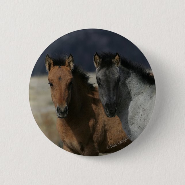 Mustang Foal Headshot 2 Inch Round Button (Front)