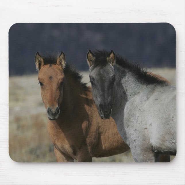 Mustang Foal Headshot Mouse Pad (Front)