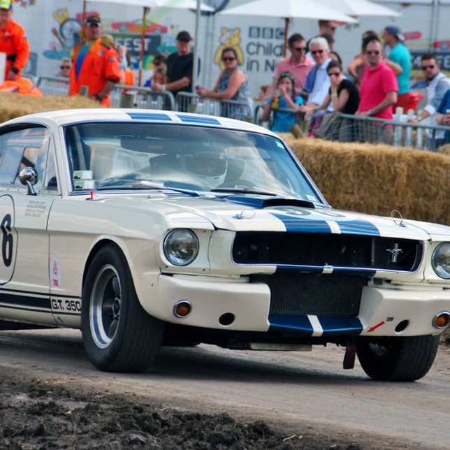 Mustang GT Sports Motor Car Poster (Creator Uploaded)