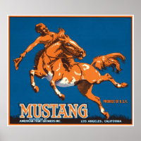 Mustang Horse Cowboy Los Angeles California USA