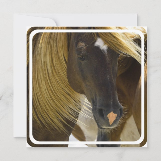Mustang Horse Invitation (Front)