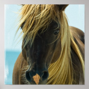Mustang Horse Poster Print