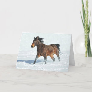 Mustang Horse Running in Snow Christmas Card