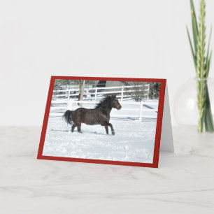 Mustang Horse Running Seasons Greetings Card