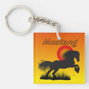 Mustang pour amateurs de chevaux