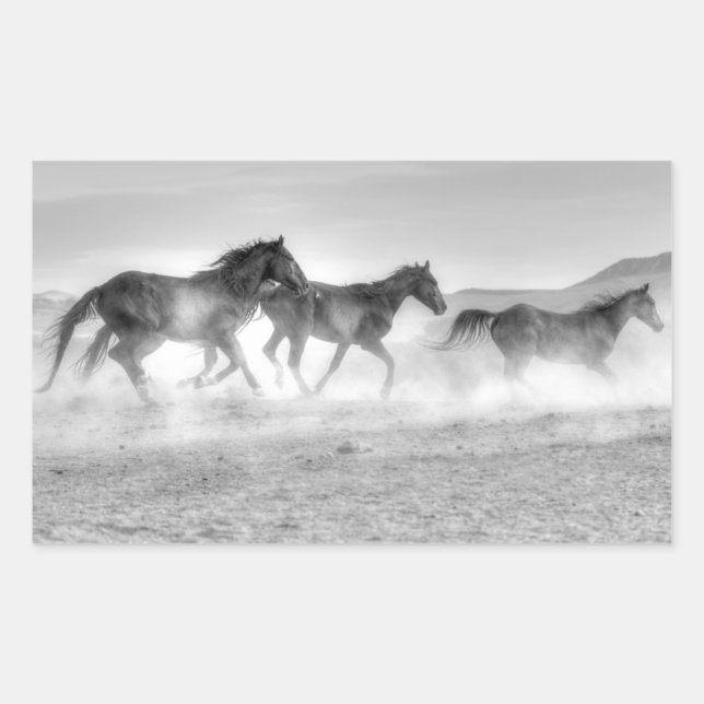 Mustang Run Sticker (Front)