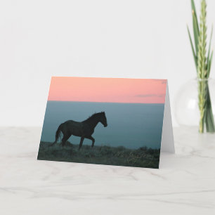 Mustang Stallion à la carte de voeux du coucher du