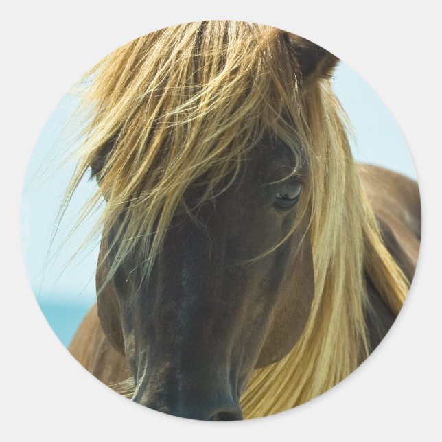 Mustang Stickers (Front)