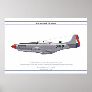 Mustang Uruguay 1 Poster