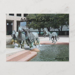 Mustangs of Las Colinas # 12 Postcard