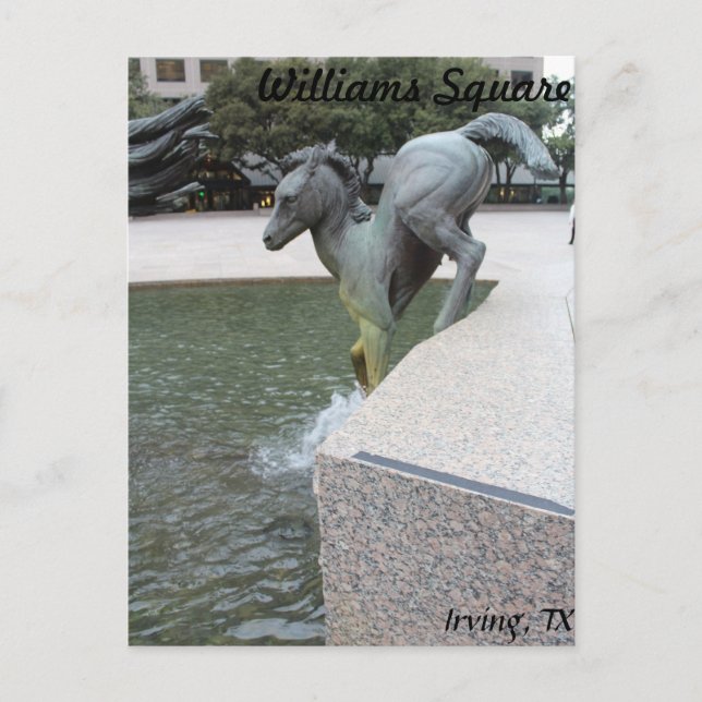 Mustangs of Las Colinas # 18 Postcard (Front)