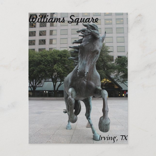 Mustangs of Las Colinas # 25 Postcard (Front)