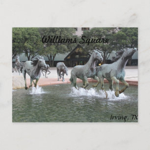 Mustangs of Las Colinas # 27 Postcard