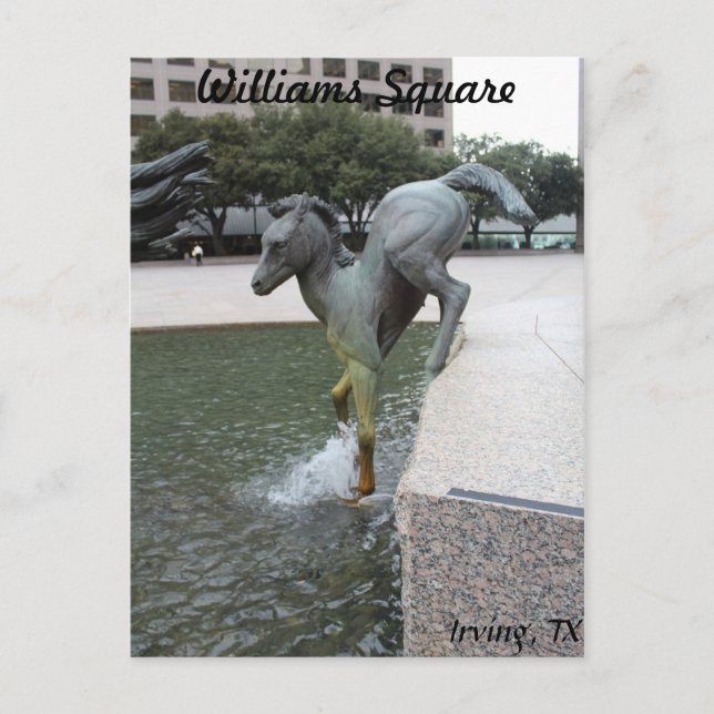 Mustangs of Las Colinas # 7 Postcard (Front)