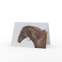 Mustangs sauvages dans la carte Neige