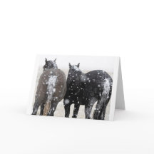 Mustangs sauvages dans la carte Neige