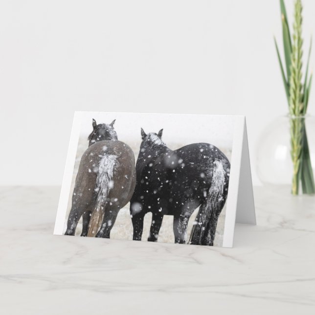 Mustangs sauvages dans la carte Neige (Devant)