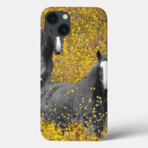 Mustard and Horses iPhone 13 Case