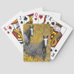 Mustard and Horses Playing Cards
