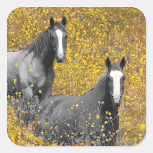 Mustard and Horses Square Sticker (Front)