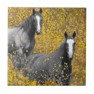 Mustard and Horses Tile
