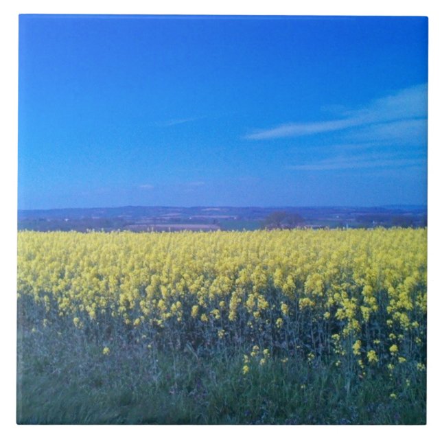 Mustard Fields Ceramic Tile 6" x 6"  (Front)