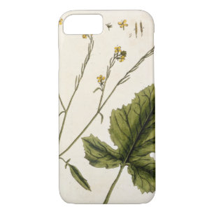 Mustard, plate 446 from 'A Curious Herbal', publis iPhone 8/7 Case