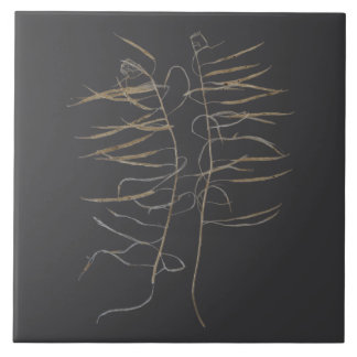 Mustard Seed Pods on a Ceramic Tile - A