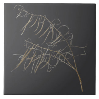 Mustard Seed Pods on a Ceramic Tile - B
