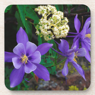 Mutant Columbine Wildflowers Coaster