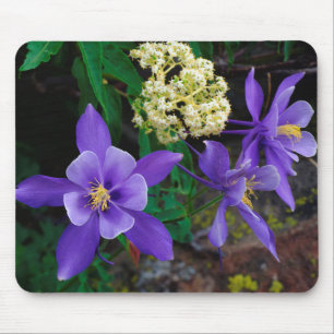 Mutant Columbine Wildflowers Mouse Pad