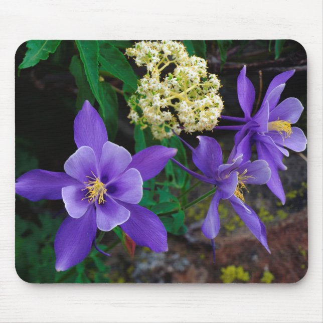 Mutant Columbine Wildflowers Mouse Pad (Front)