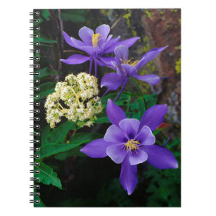 Mutant Columbine Wildflowers Notebook