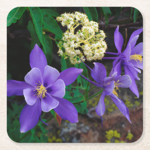 Mutant Columbine Wildflowers Square Paper Coaster
