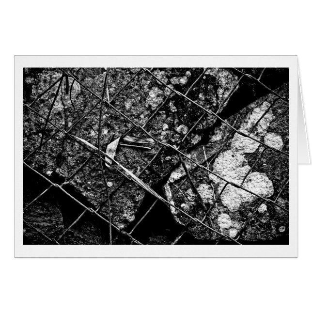 mutant pour tomorrow (Devant horizontal)