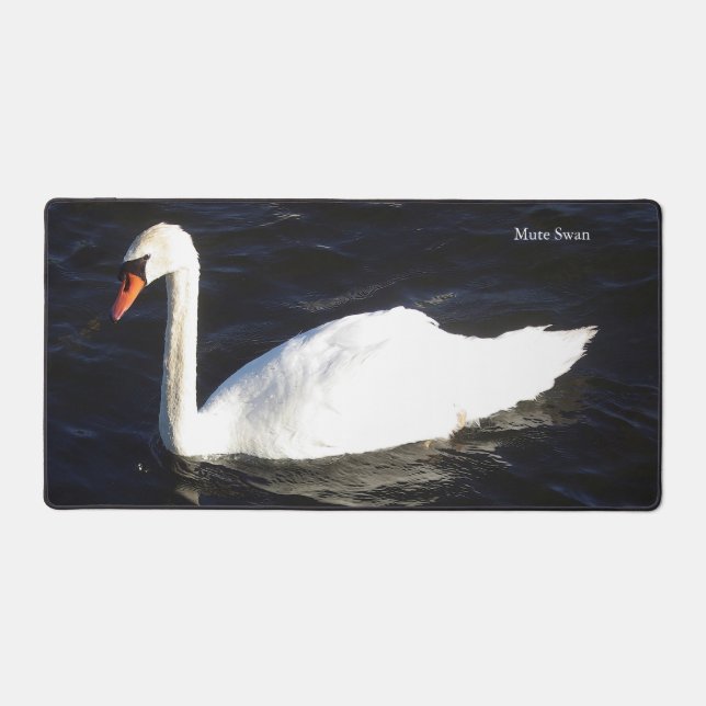 Mute Swan (Recto)