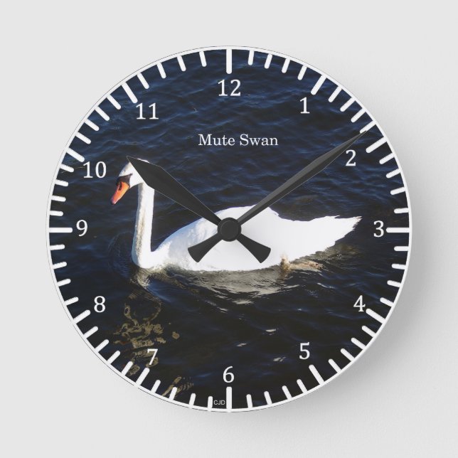 Mute Swan clock (Front)