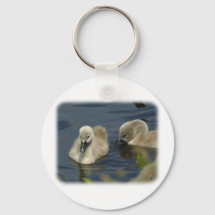 Mute Swan Cygnets 9R054D-114 Keychain