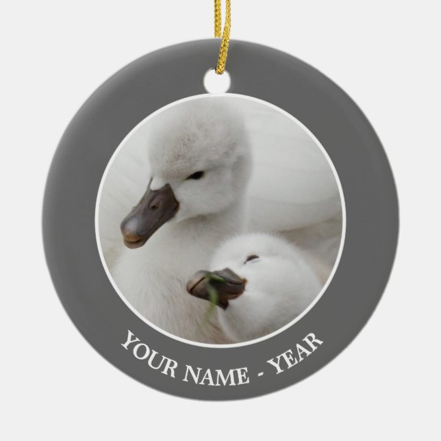 Mute Swan Cygnets Ceramic Ornament (Front)