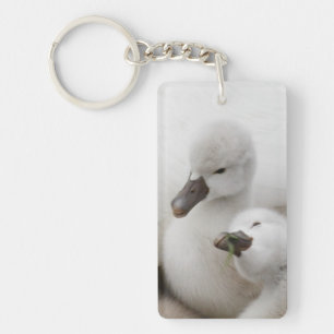 Mute Swan Cygnets Keychain