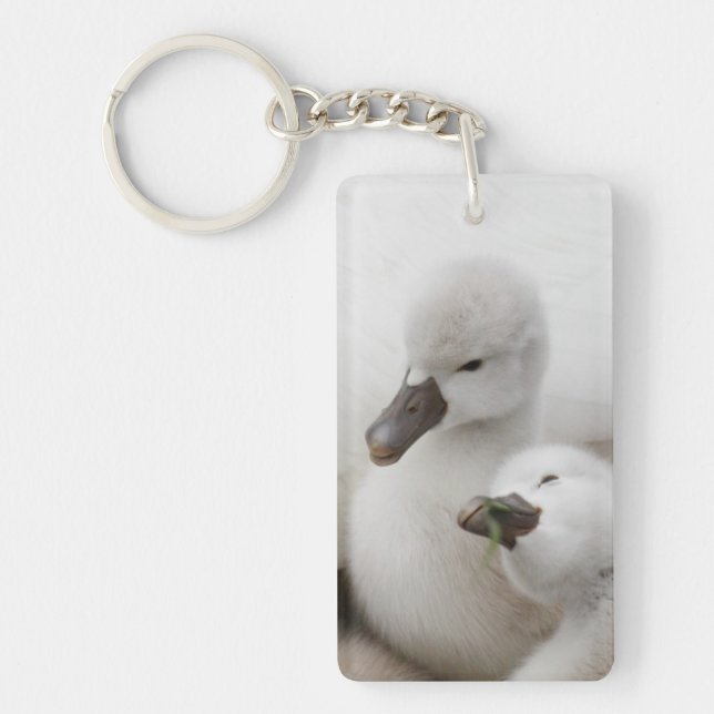 Mute Swan Cygnets Keychain (Front)
