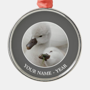 Mute Swan Cygnets Metal Ornament