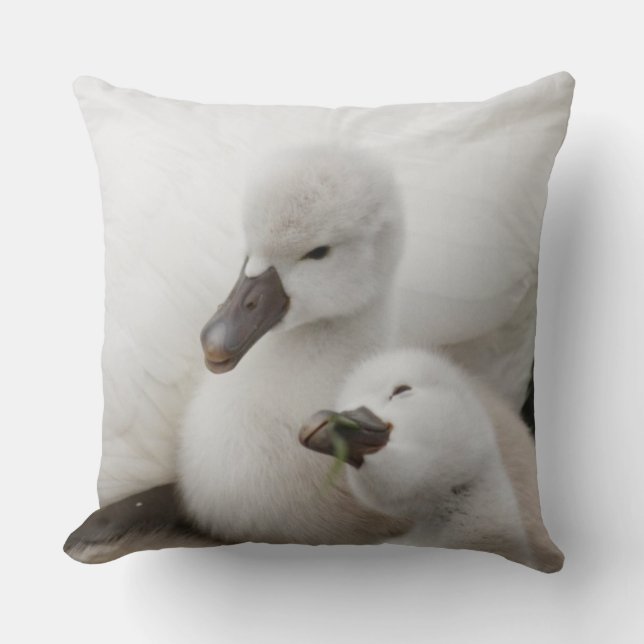 Mute Swan Cygnets Throw Pillow (Front)