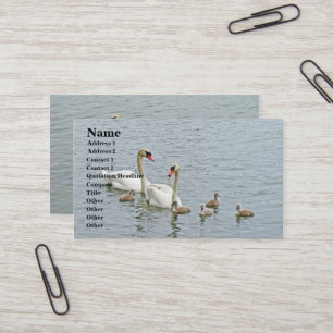 Mute Swan Famly Business Card