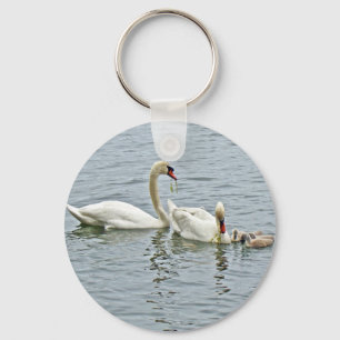 Mute Swan Famly Keychain