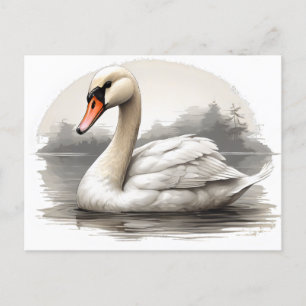 Mute swan in water postcard
